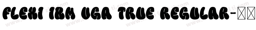 Flexi IBM VGA True Regular字体转换